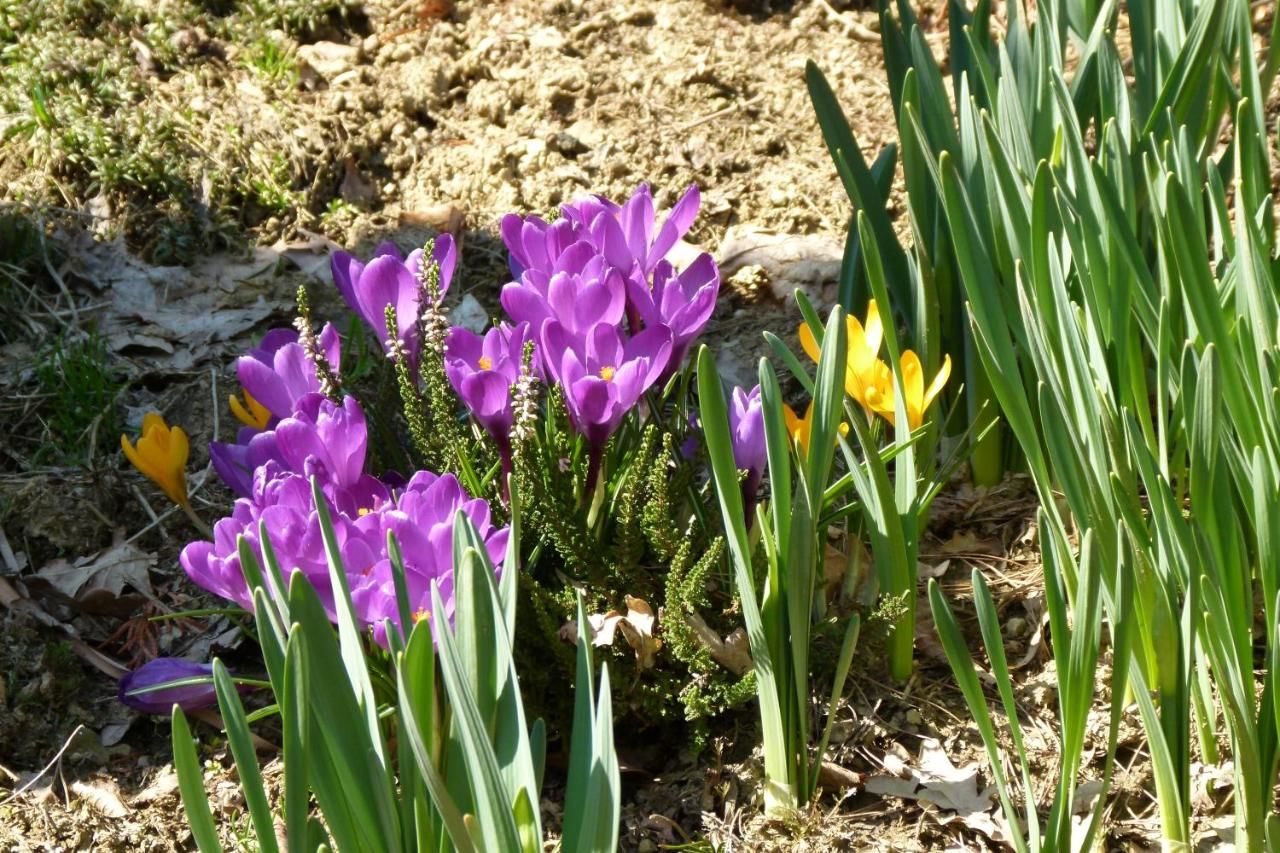 Фермерские дома Agroturystyka u Psotki Kużmina-16