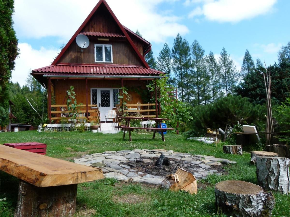 Фермерские дома Agroturystyka u Psotki Kużmina-21