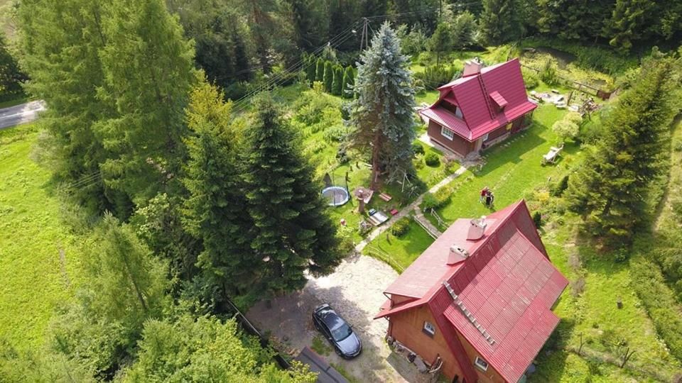 Фермерские дома Agroturystyka u Psotki Kużmina-53